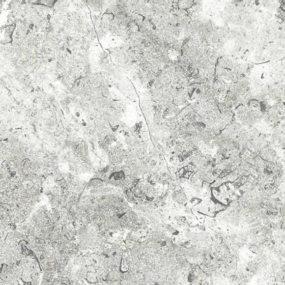 White_Lightning_Fossil